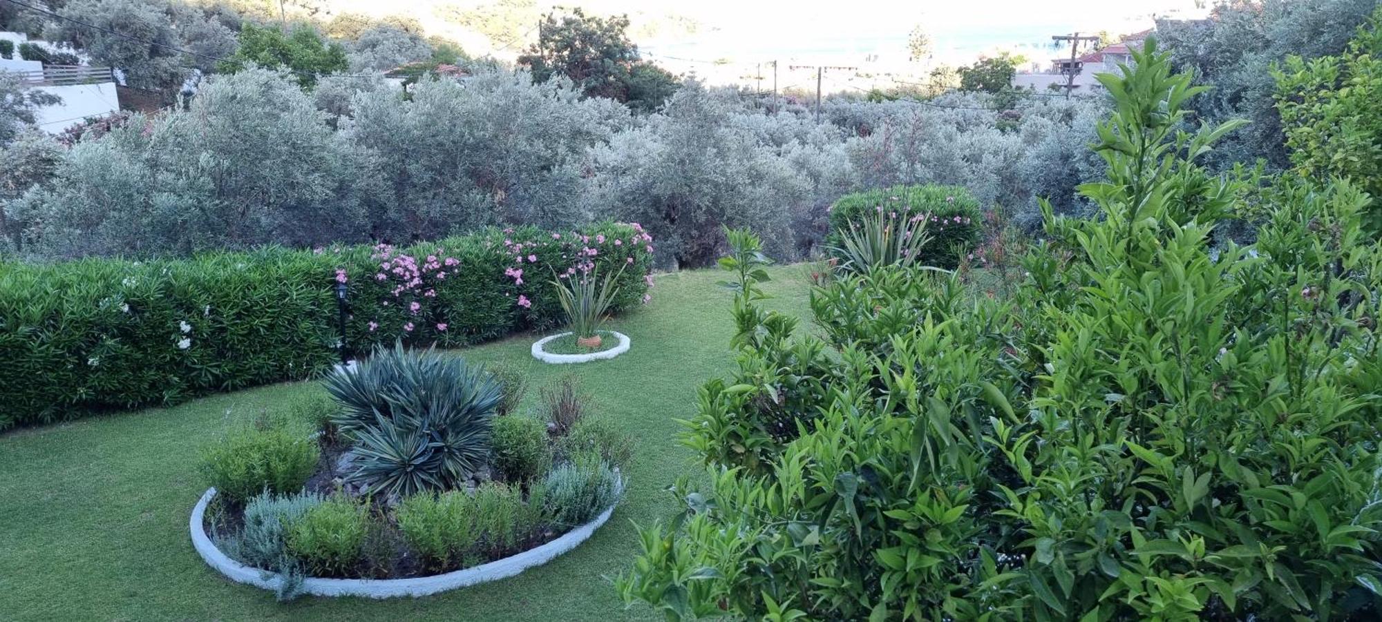 Olive Grove Studios Megali Ammos  Eksteriør bilde