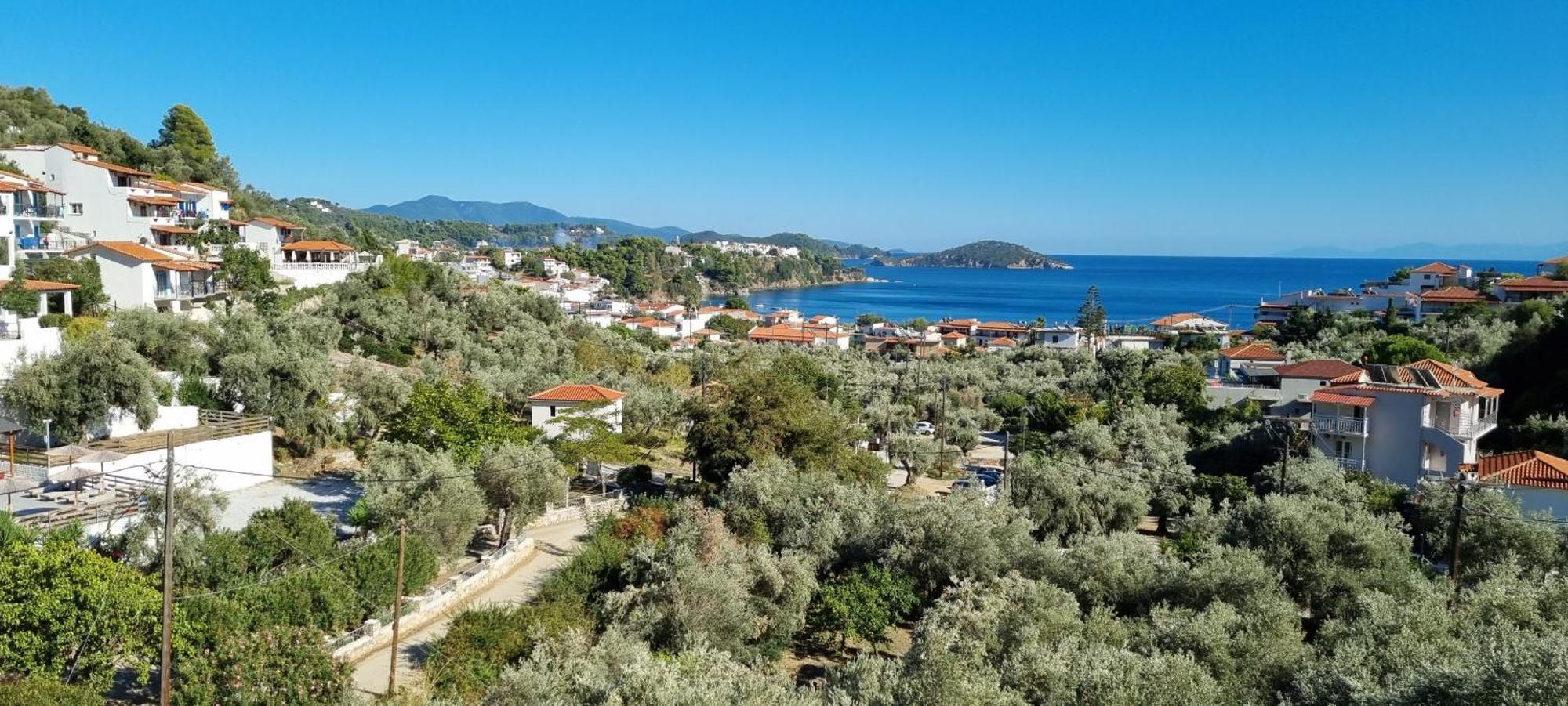 Olive Grove Studios Megali Ammos  Eksteriør bilde